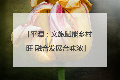 平潭：文旅赋能乡村旺 融合发展台味浓